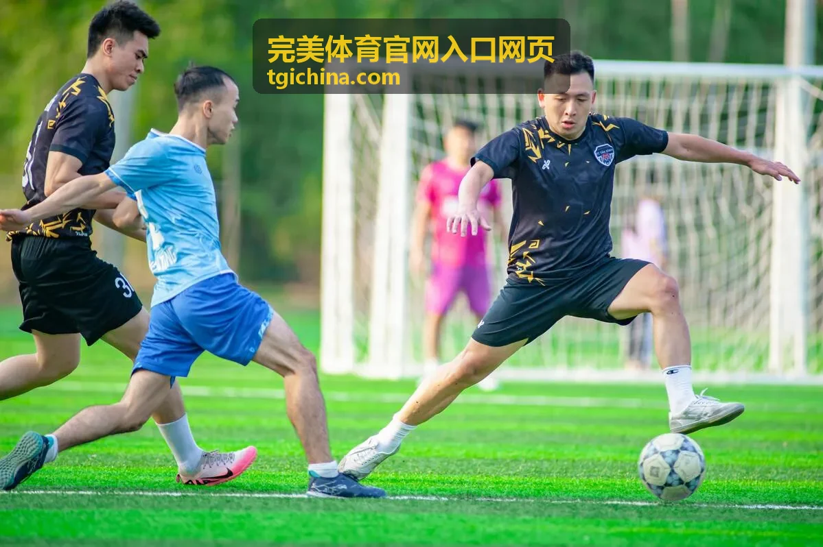 完美体育官网入口网页医疗保障团队
